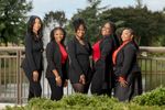 our team image 2