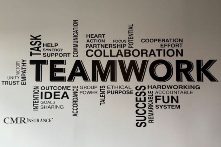 our team image 0