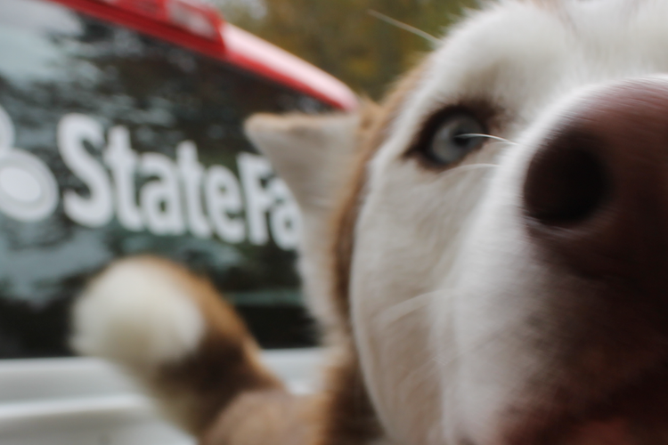 our mission image 0