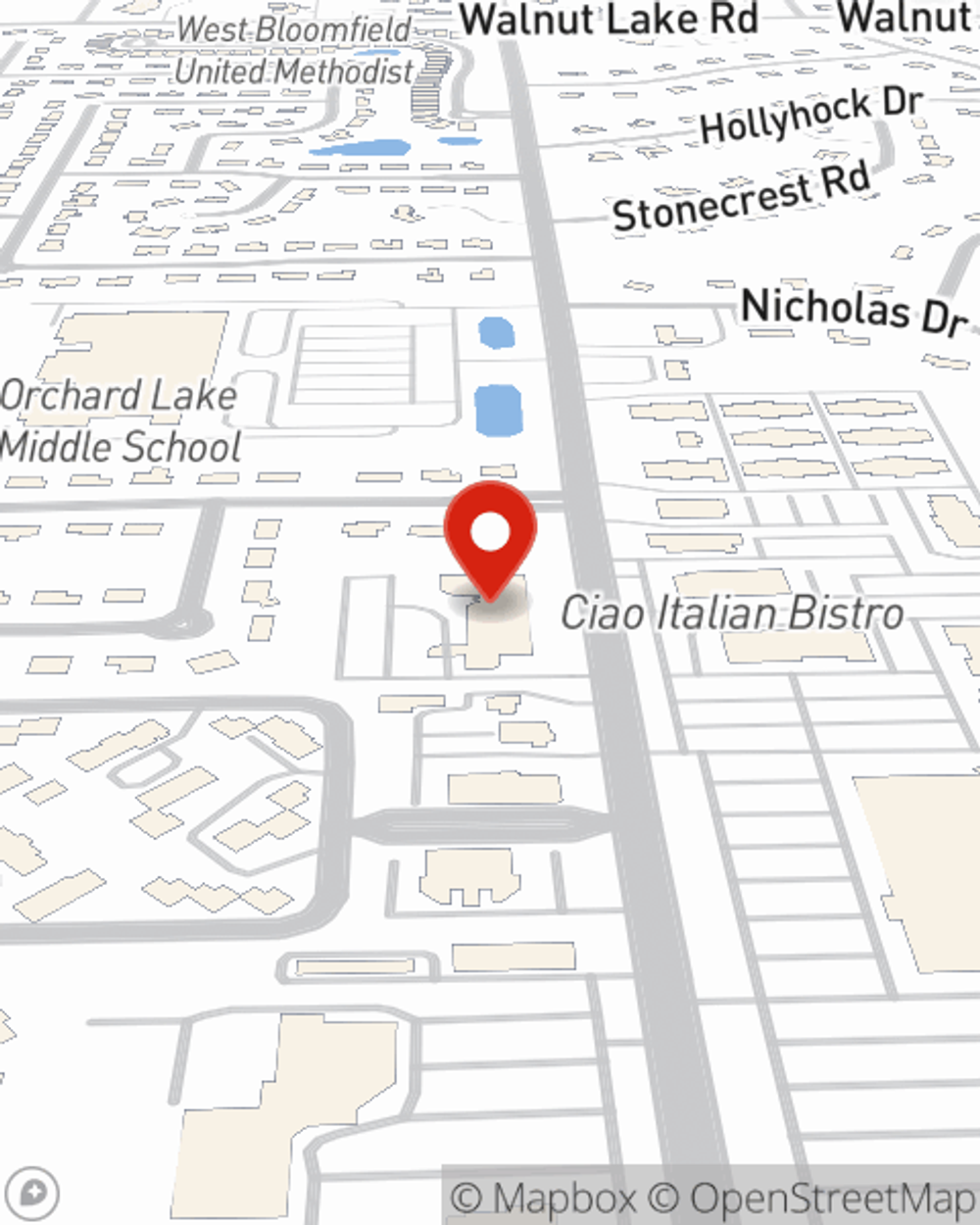 Map showing State Farm Agent Adren Hendrix's office at 26561 W 12 Mile Road Suite 203, Southfield, MI