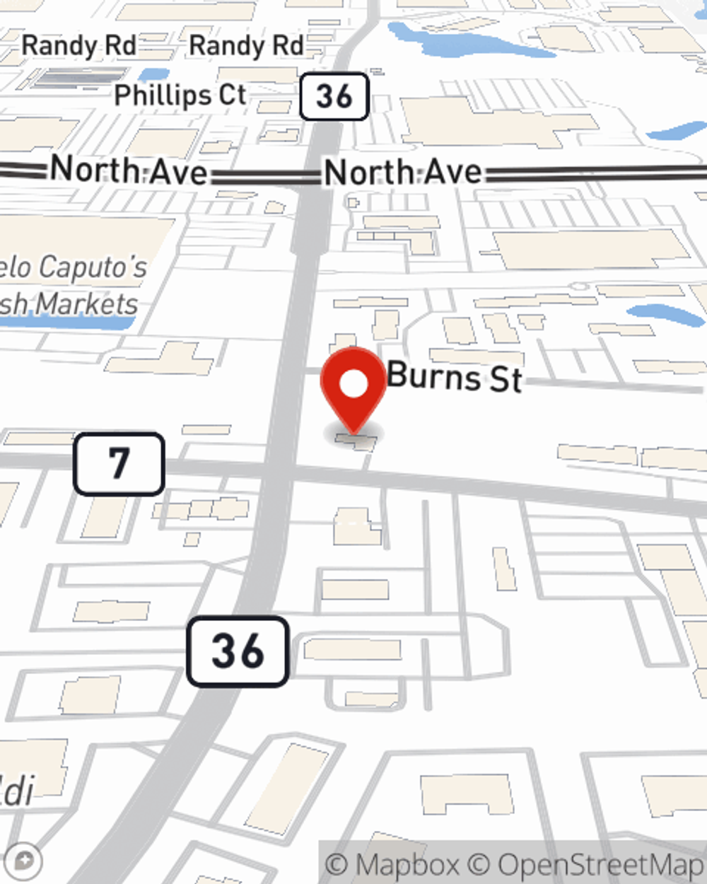 Map showing State Farm Agent Eddie Vargas's office at 1171 Bloomingdale Road Glendale Heights, IL