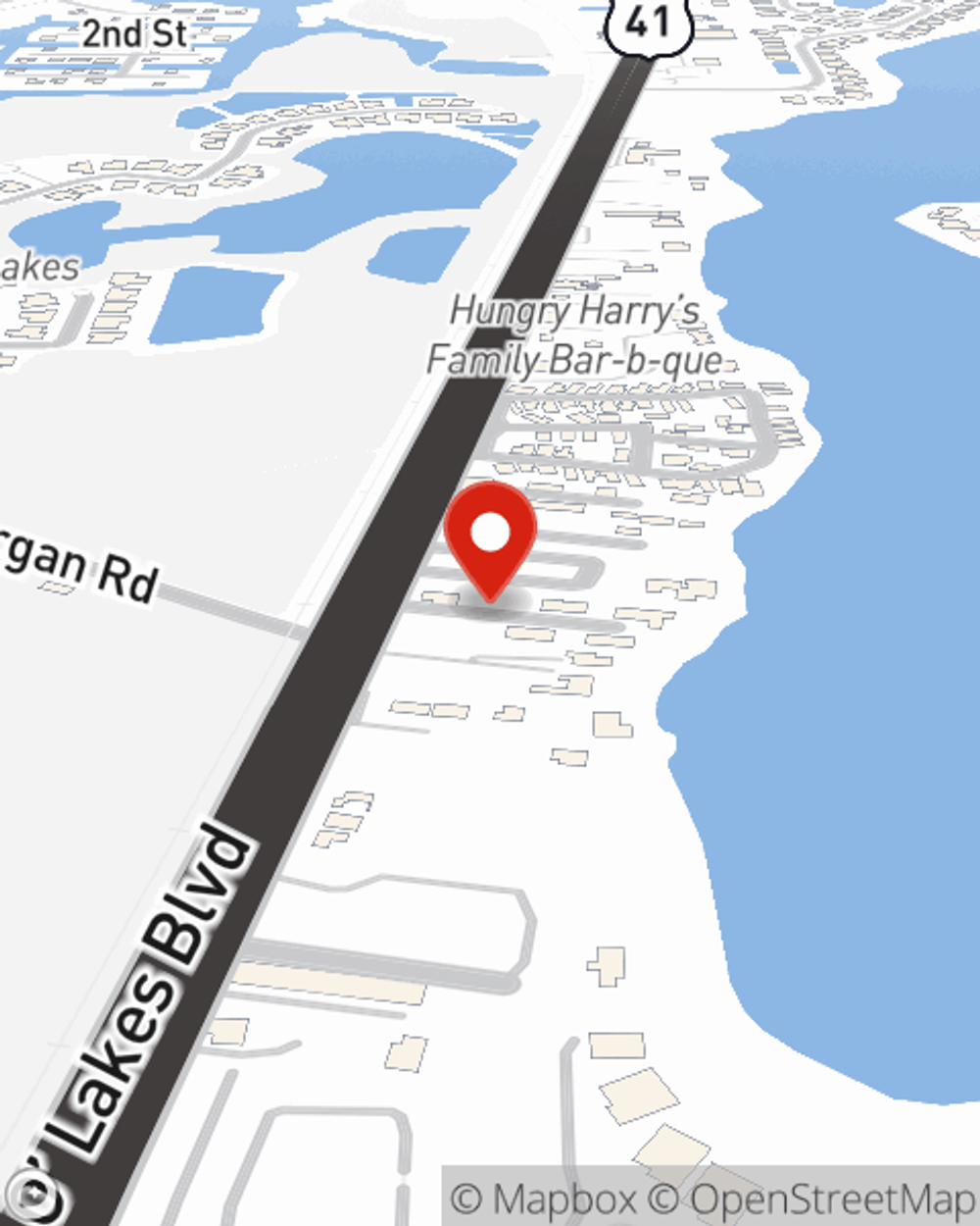 Map showing State Farm Agent Jose Pomales's office at 21319 Coakley Lane, Land O Lakes, FL
