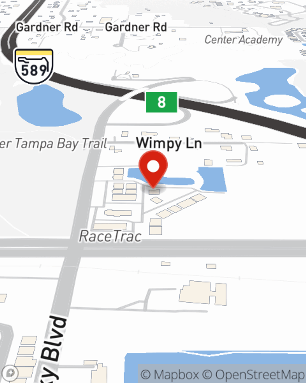 Map showing State Farm Agent Roy Hooker III's office at 10131 Gallant Lane, Tampa, FL