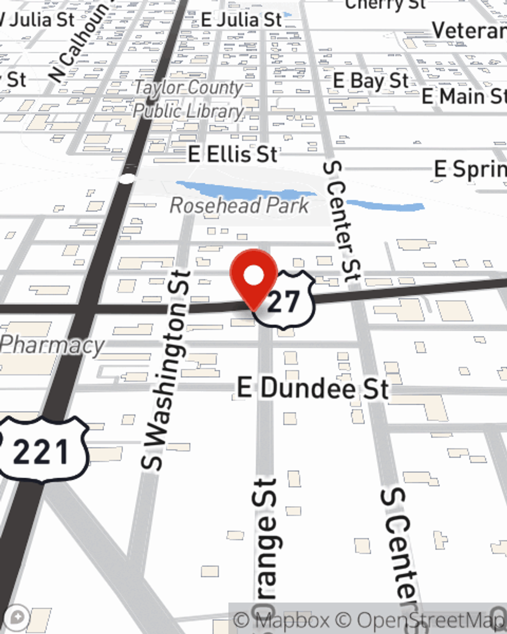 Map showing State Farm Agent Misty Rhoden's office at 209 E Hampton Springs Avenue, Perry, FL