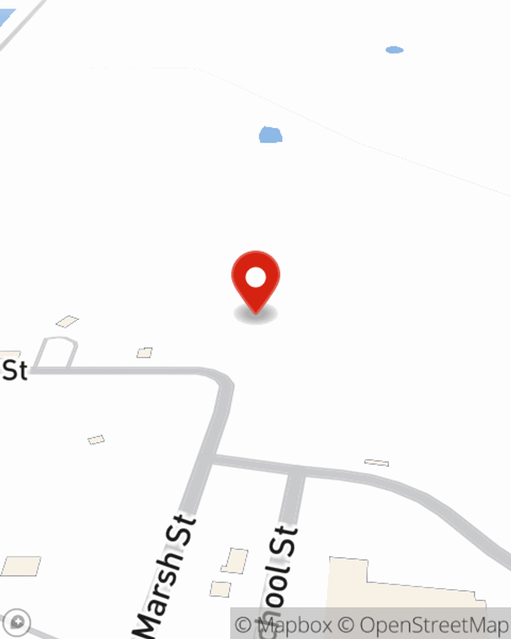 Map showing State Farm Agent Sara Thomas's office at 302 Commerce Street, Tyler, MN