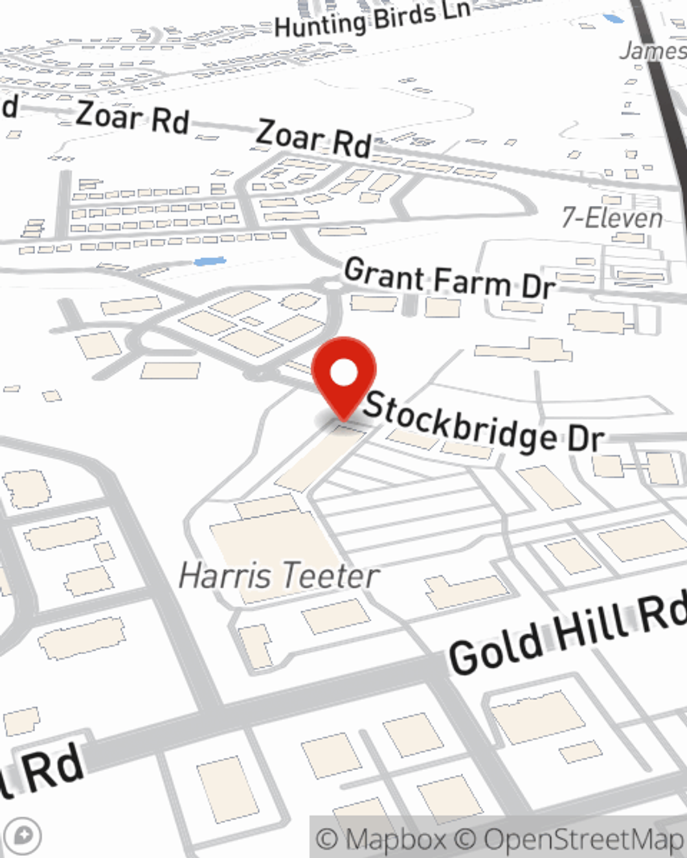 Tega Cay SC State Farm Insurance Agent Diondra Creswell