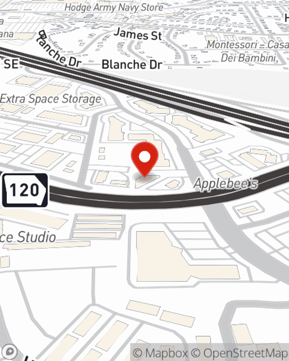 GA Auto & Home Insurance Agent Brandon Wine State Farm®