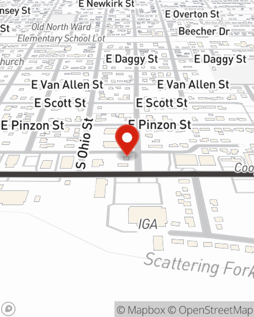 State Farm Insurance Agent John Davis in Tuscola IL