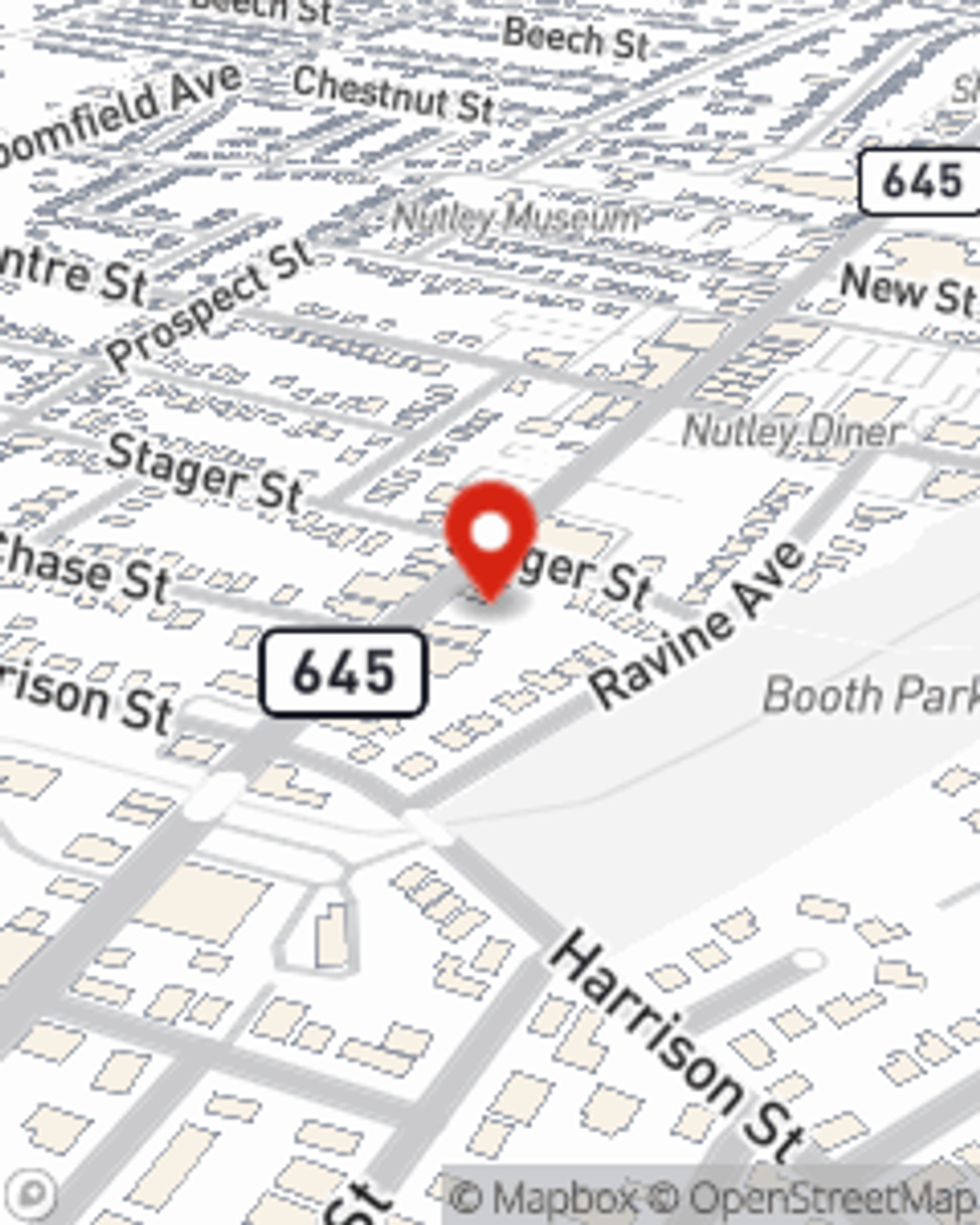 Nutley NJ State Farm Insurance Agent Renee Friscia