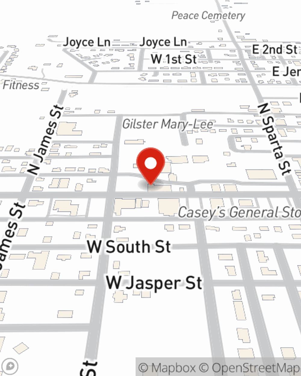 State Farm Insurance Agent Terrin Thies in Steeleville IL