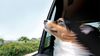 Dog looking out a car window.