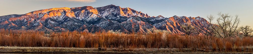 Albuquerque NM State Farm Insurance Agent John Marcelli