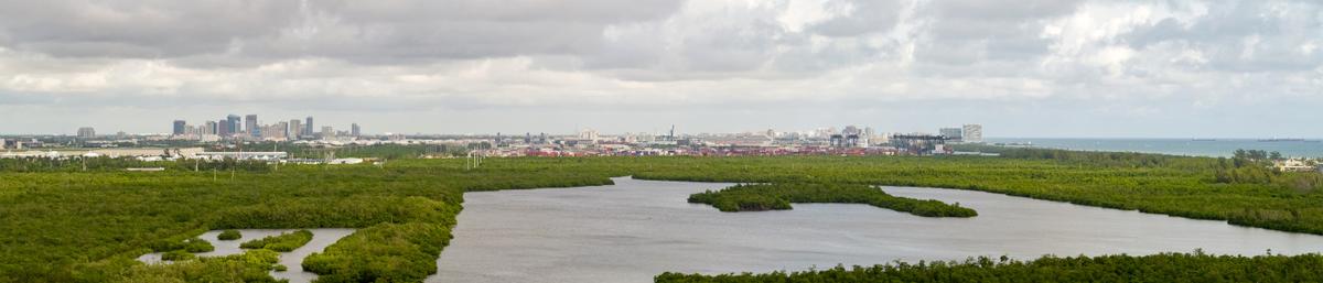 FL Auto & Home Insurance Agent Brice Brown - State Farm®