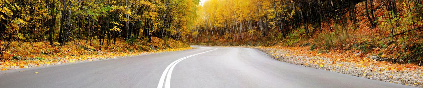 DE Auto & Home Insurance Agent Billy Reese - State Farm®