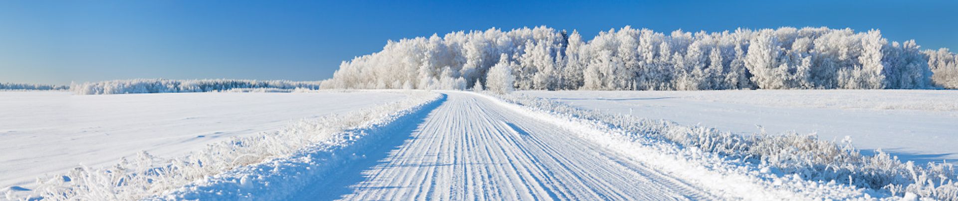 Home, Auto Insurance & More in IL | Trent Fairfield – State Farm®