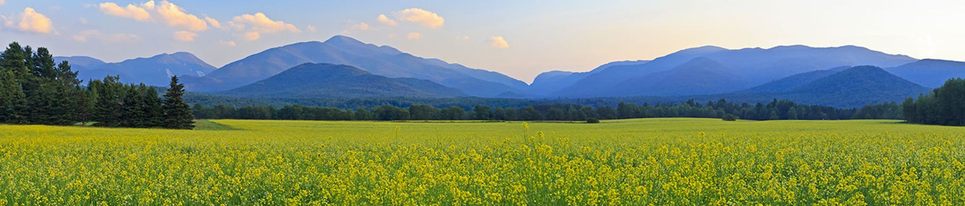 State Farm Agent Drew McFadden located in Potsdam, NY