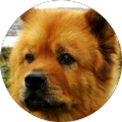 Profile photo of Marianna Mapa