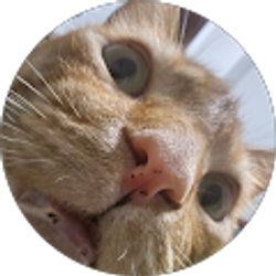 Profile photo of Sarah Wofford