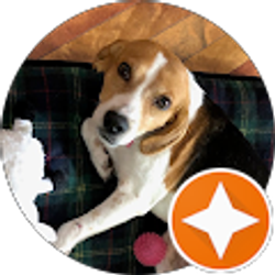 Profile photo of Carolyn Cochran