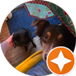 Profile photo of Jack Pakela - Trumpet