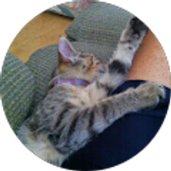 Profile photo of Brian Freyenhagen