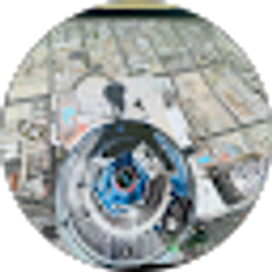 Profile photo of Farrah Collins