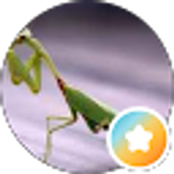 Profile photo of PopaSmurf