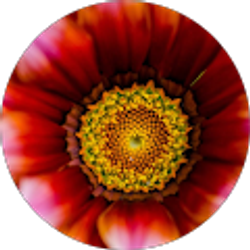 Profile photo of Toby L