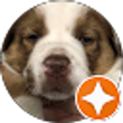 Profile photo of Michael Hammers