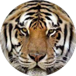 Profile photo of Dinah