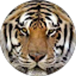 Profile photo of Dinah