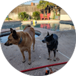 Profile photo of Redd Cloud