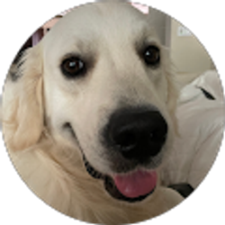 Profile photo of K L Venkatachalam