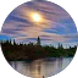 Profile photo of Ronda Gray
