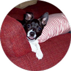 Profile photo of Gary J Griffith