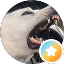 Profile photo of AL