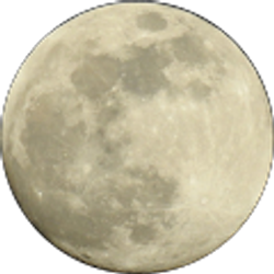 Profile photo of Thomas West