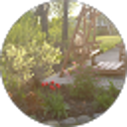 Profile photo of Toni Harrington