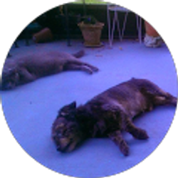 Profile photo of Ramona Aalyn