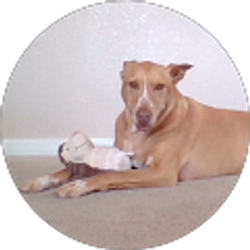 Profile photo of Taylor Evans