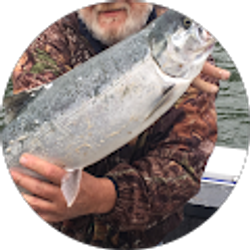 Profile photo of Steve Maezes