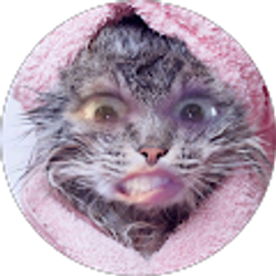 Profile photo of Rebecca Garavalia