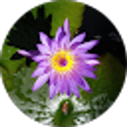 Profile photo of Pam Pegues