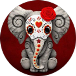 Profile photo of Elvia Villa