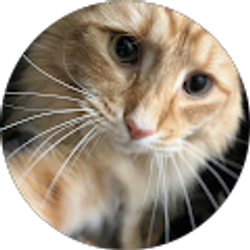 Profile photo of Sheryl K.