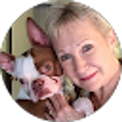 Profile photo of Paula Shea