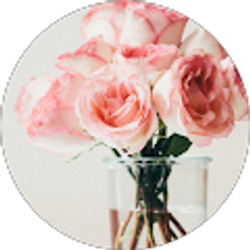 Profile photo of Nicole