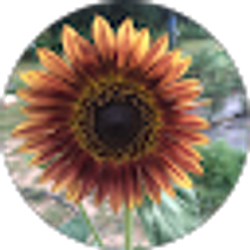 Profile photo of Karrie Morrow