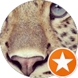 Profile photo of S F