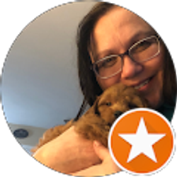 Profile photo of Tony Lego